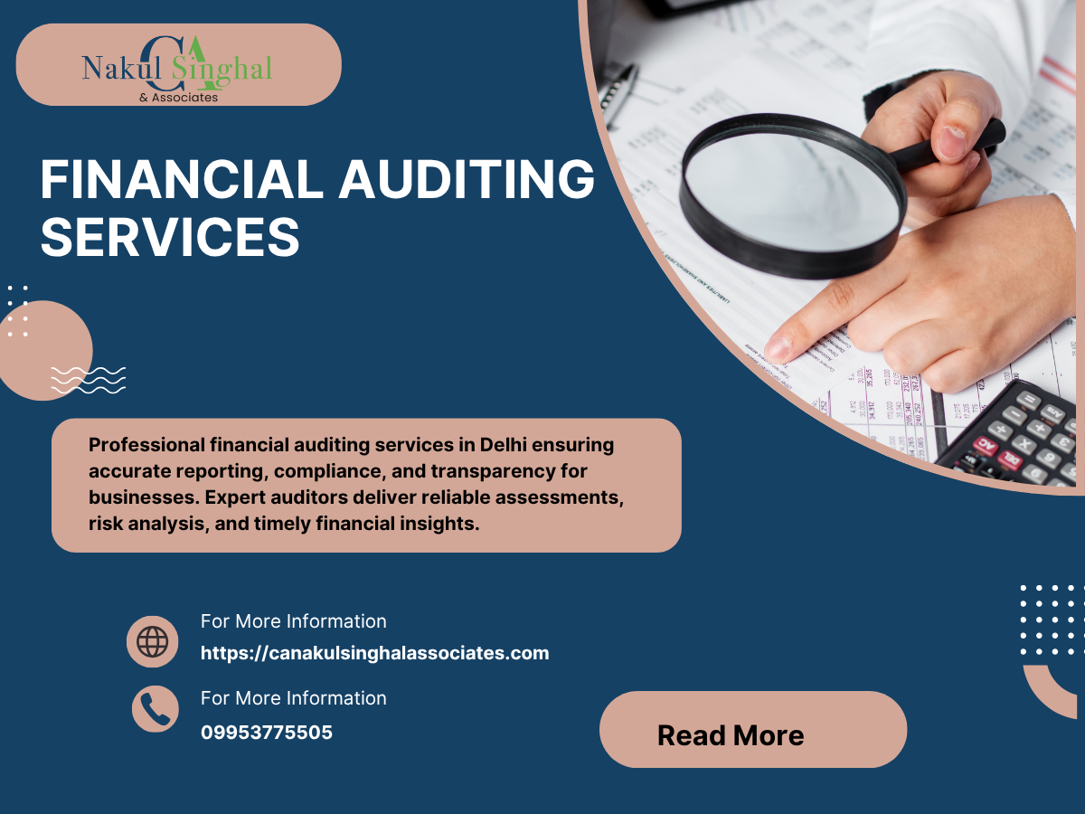 Best Financial Auditing Services in Delhi